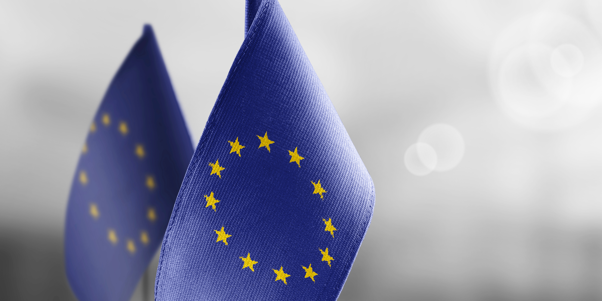 Innomis European Union